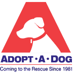 Adopt A Dog